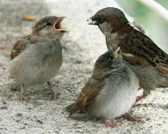 Природа края