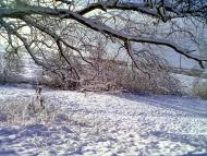 Зима 2011 - 2012.