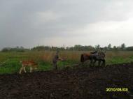 моє рідне село