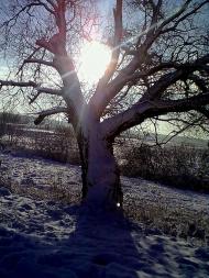 Миляч - Останні фото