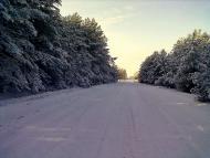 Зима 2011 - 2012.