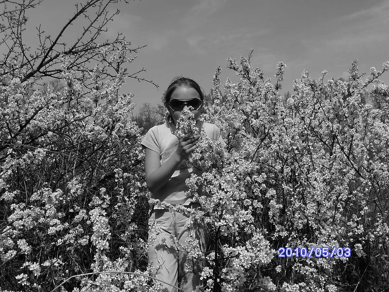 Весна в Зеленьках - Зеленьки