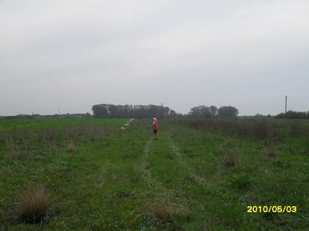 моє рідне село - Велика Білина