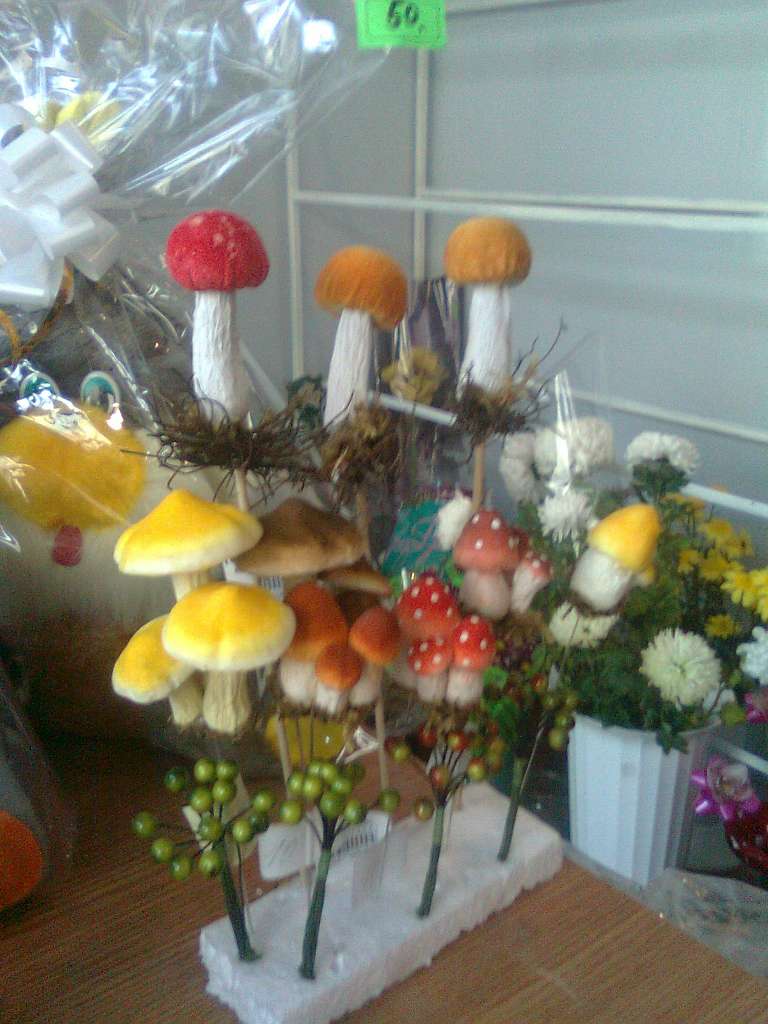 Гриби - Опака