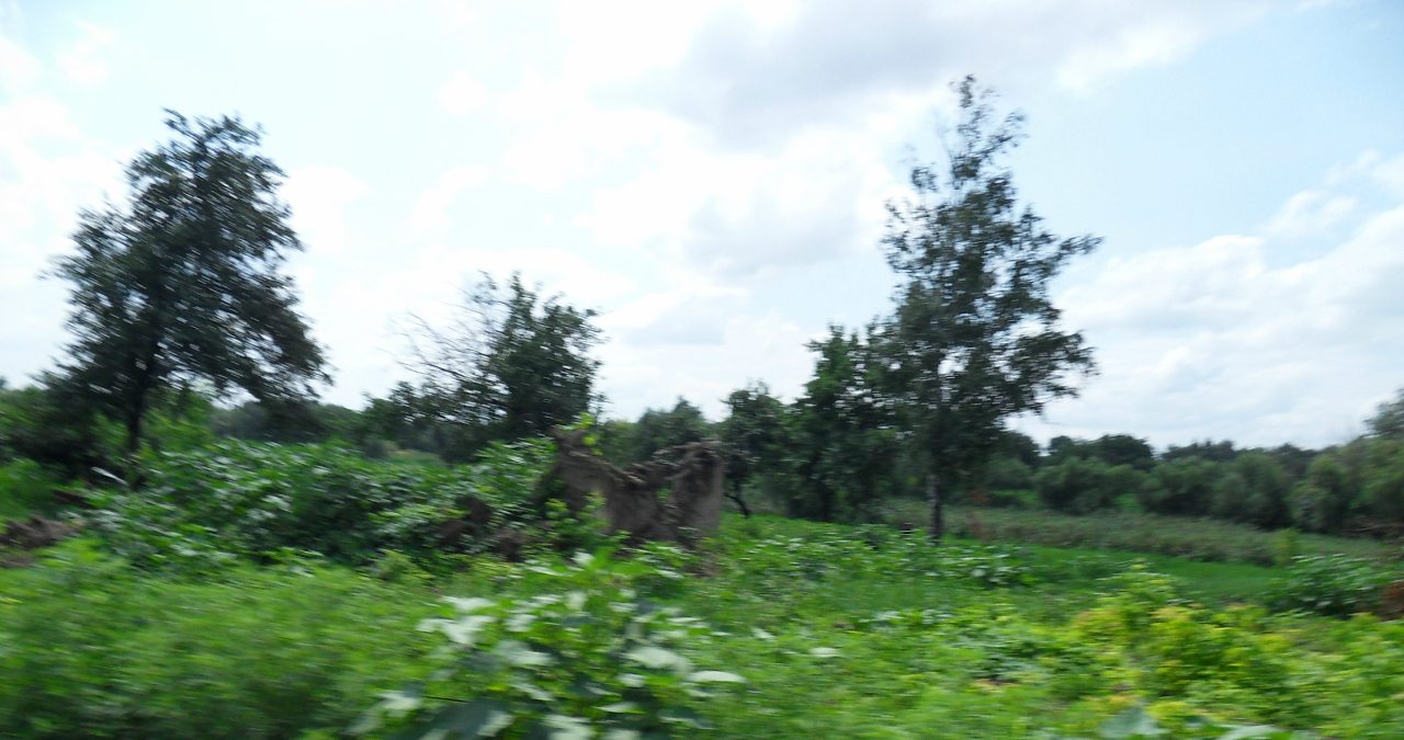 Весёлая Долина - Весела Долина