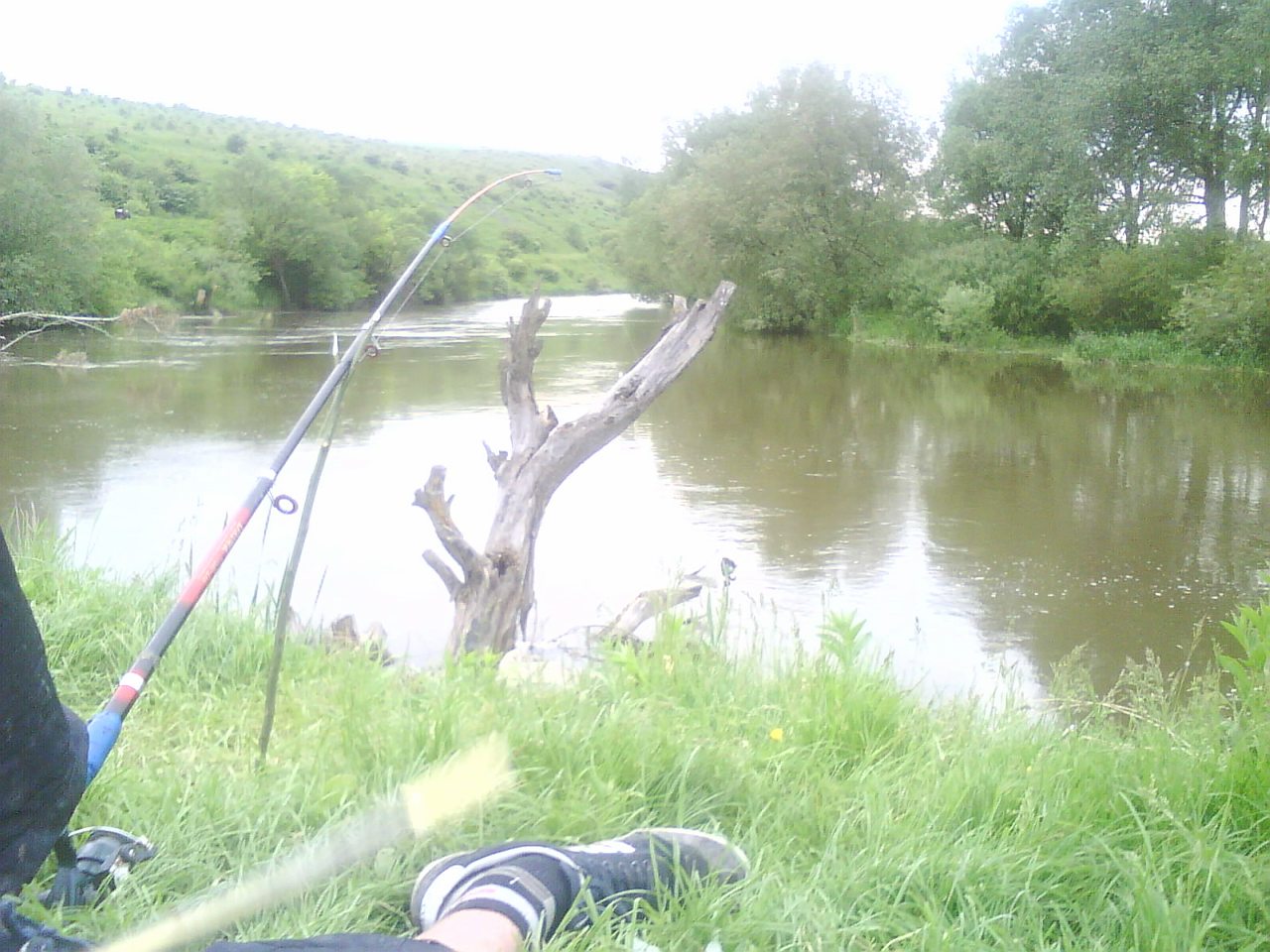 НІВЕРКА - Ніверка