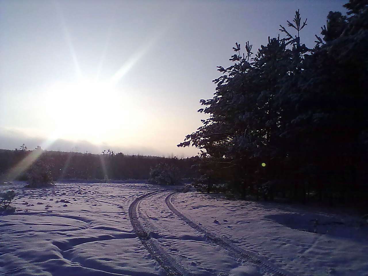 Зима 2011 - 2012. - Миляч