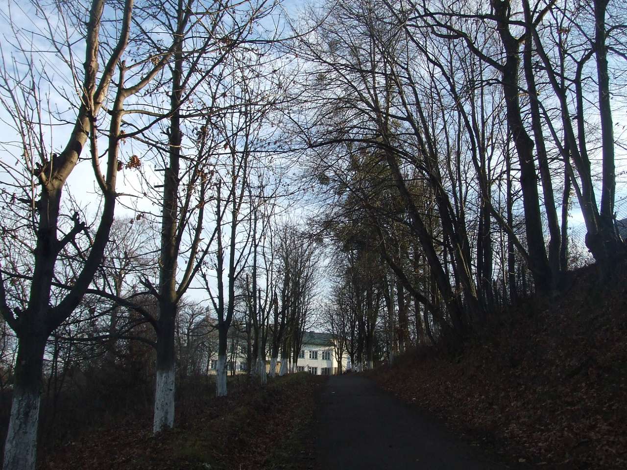 школа - Strilkiv