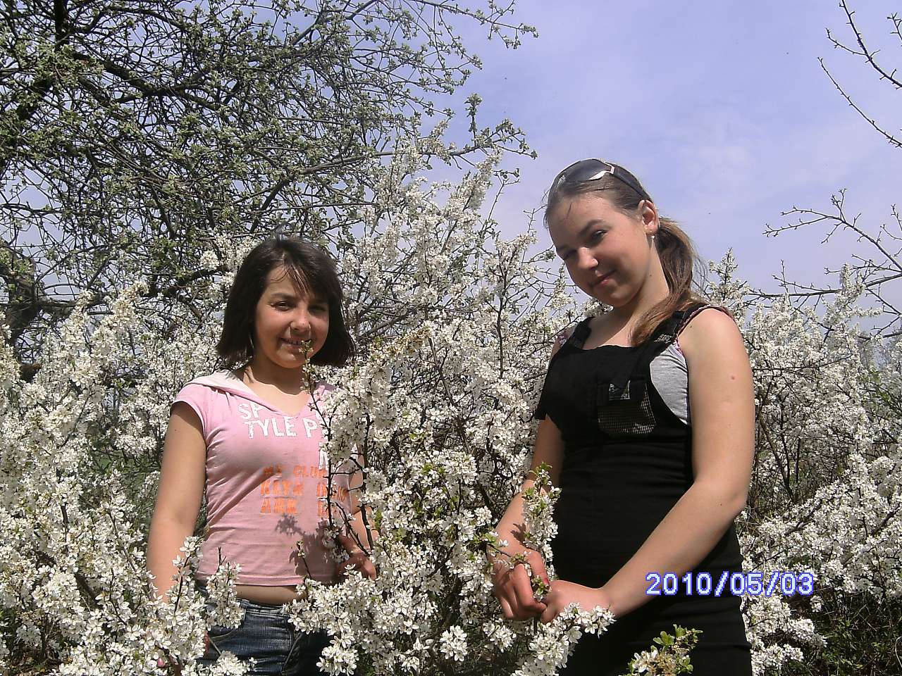 Весна в Зеленьках - Зеленьки