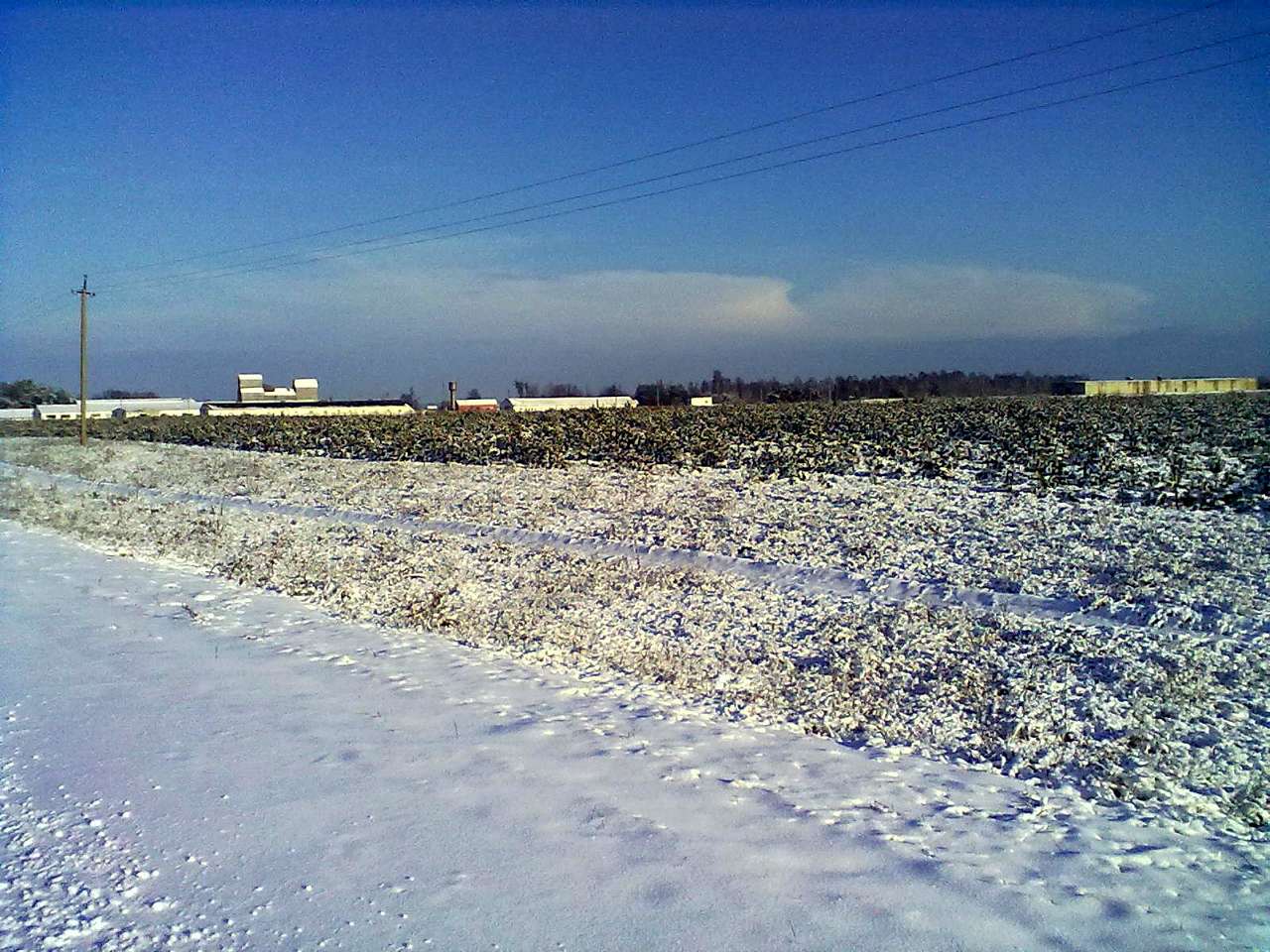 Зима 2011 - 2012. - Миляч