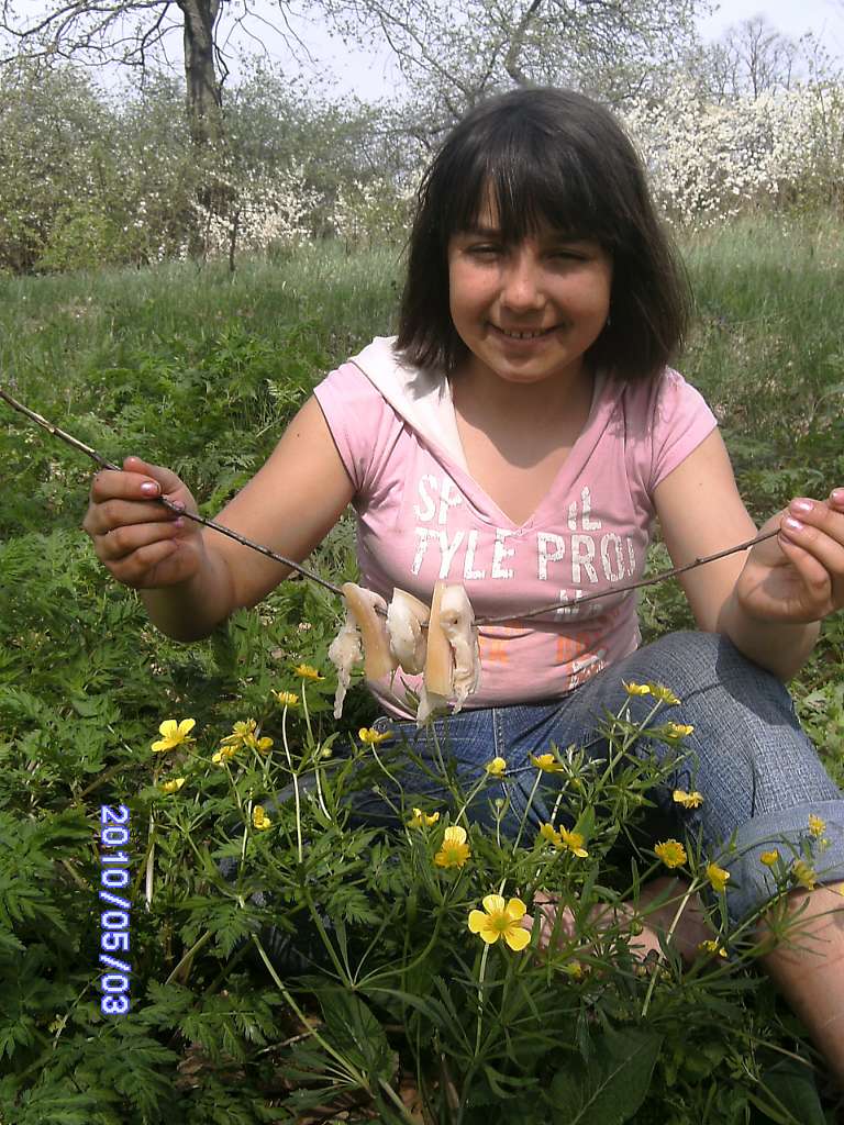 Весна в Зеленьках - Зеленьки