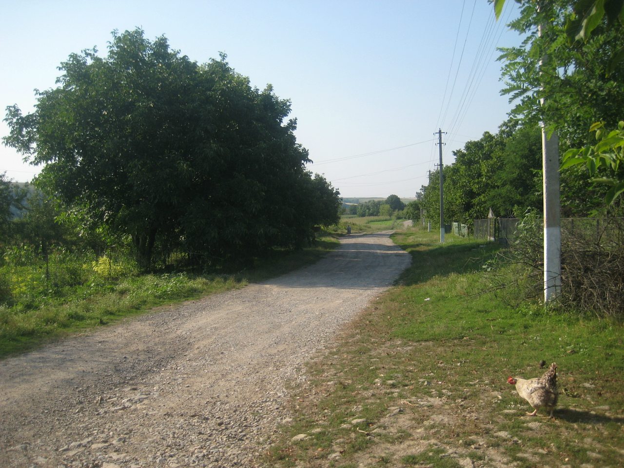 НІВЕРКА - Ніверка