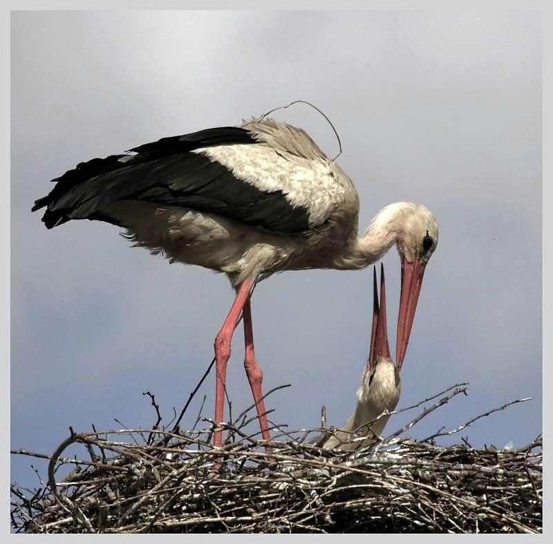 Природа края - Верхняя Мануйловка