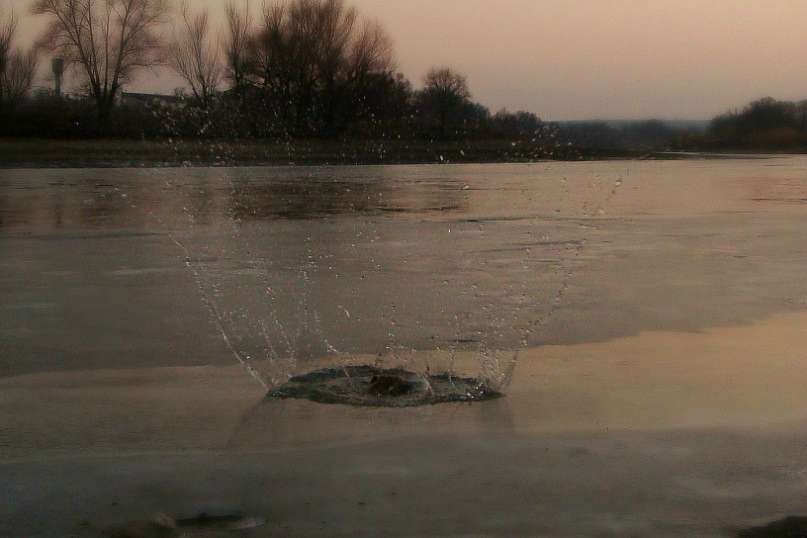 Фото - Санжариха