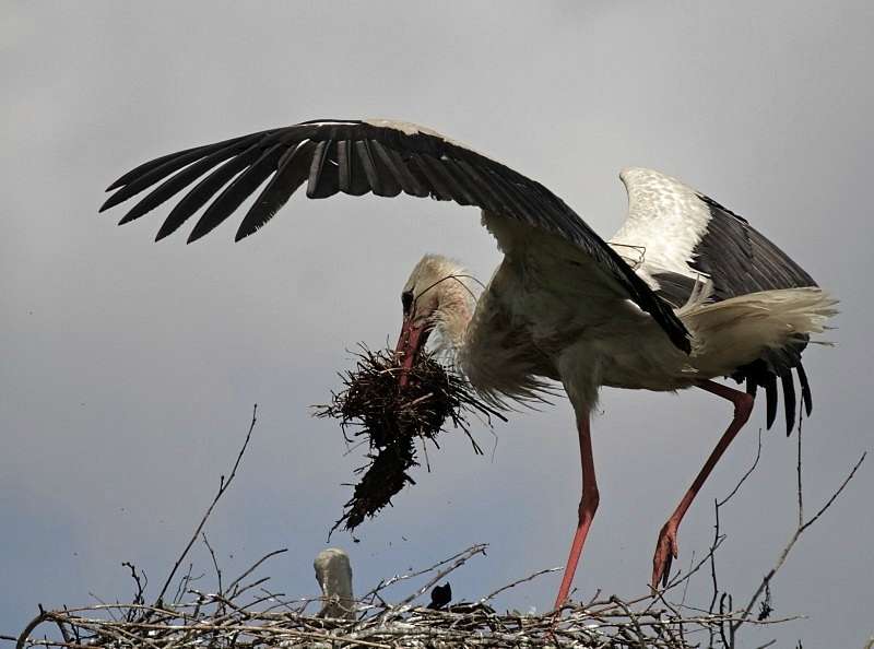 Природа края - Верхняя Мануйловка