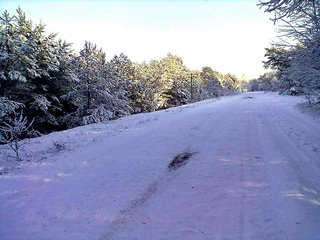 Зима 2011 - 2012. - Миляч