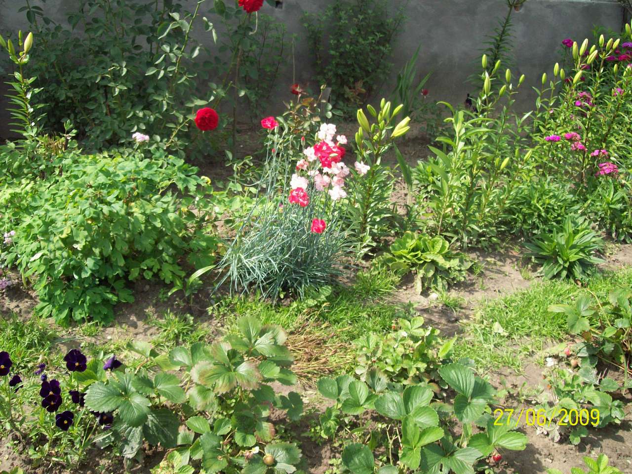 Магерів - Магерів