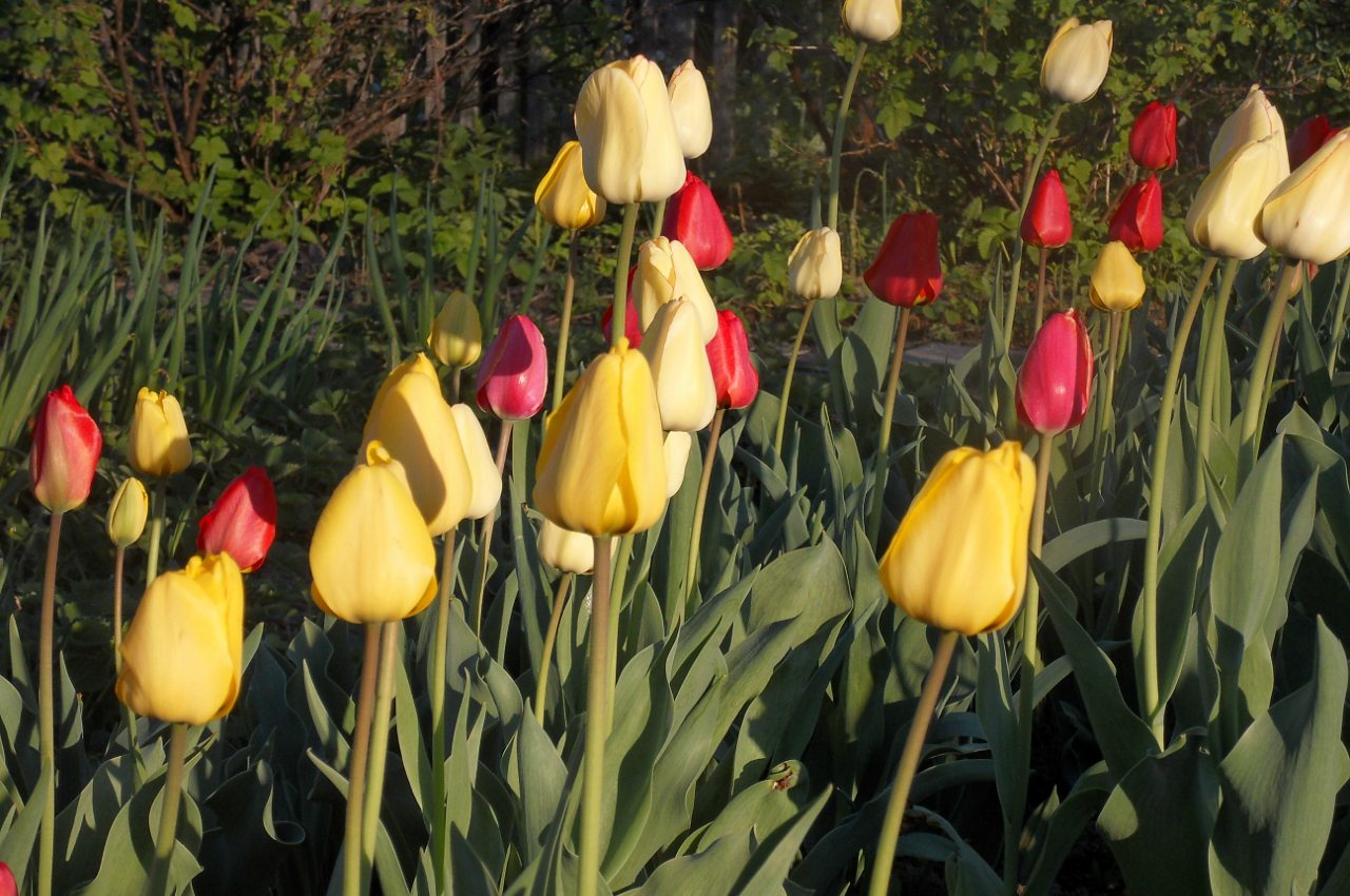 Природа края - Верхняя Мануйловка