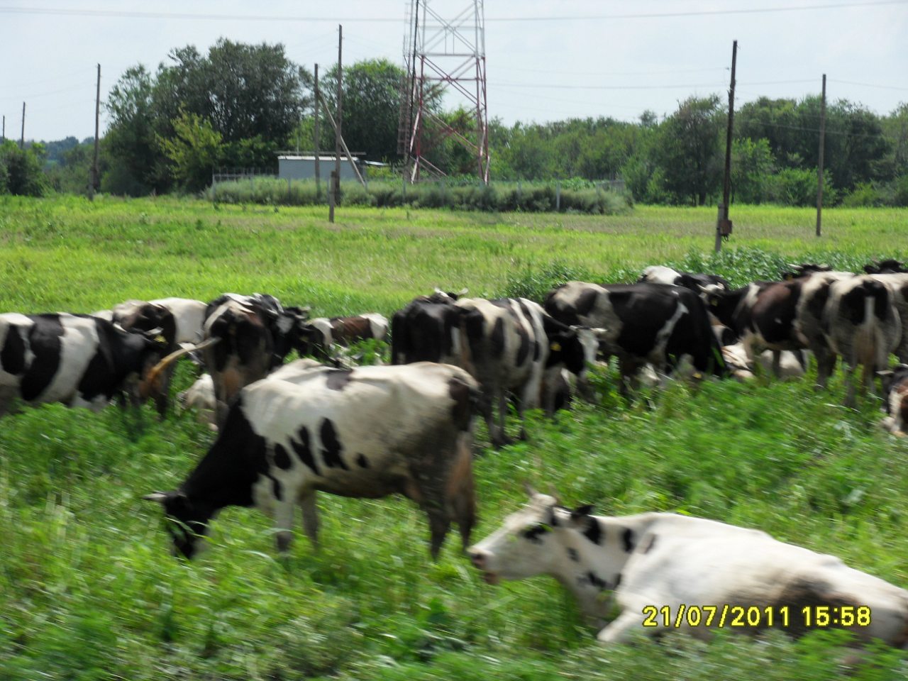 Весёлая Долина - Весела Долина