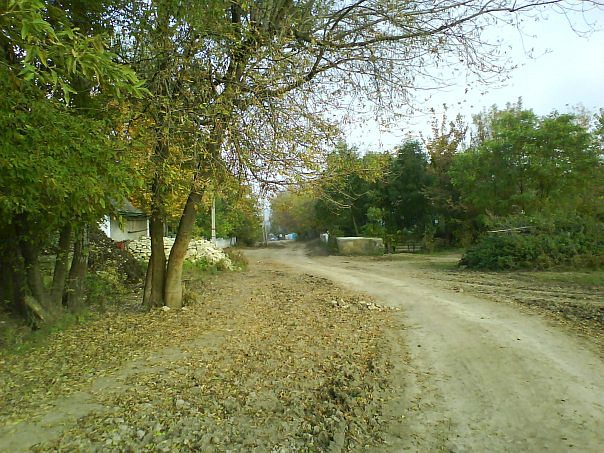 дорога... - Клекотина