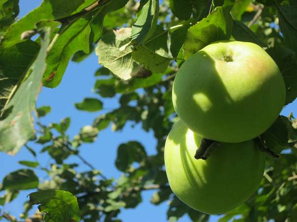 Краса рідного села - Велика Білина