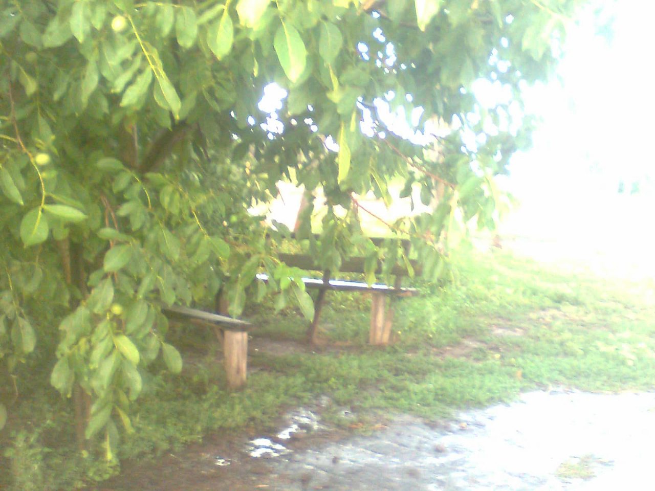 =) - Кожум'яки