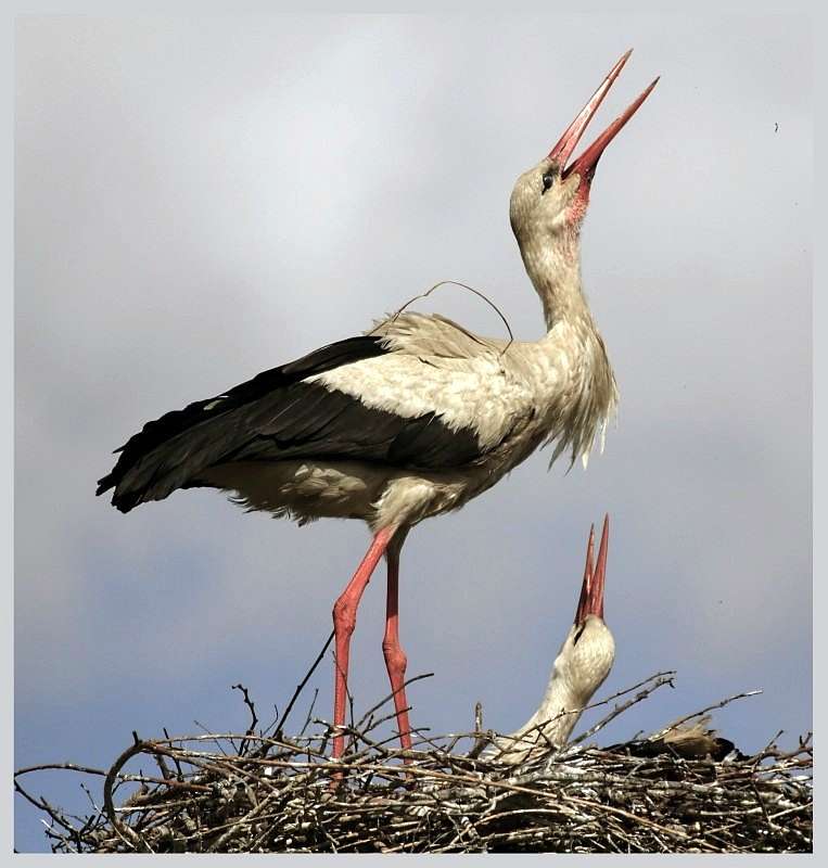 Природа края - Верхняя Мануйловка