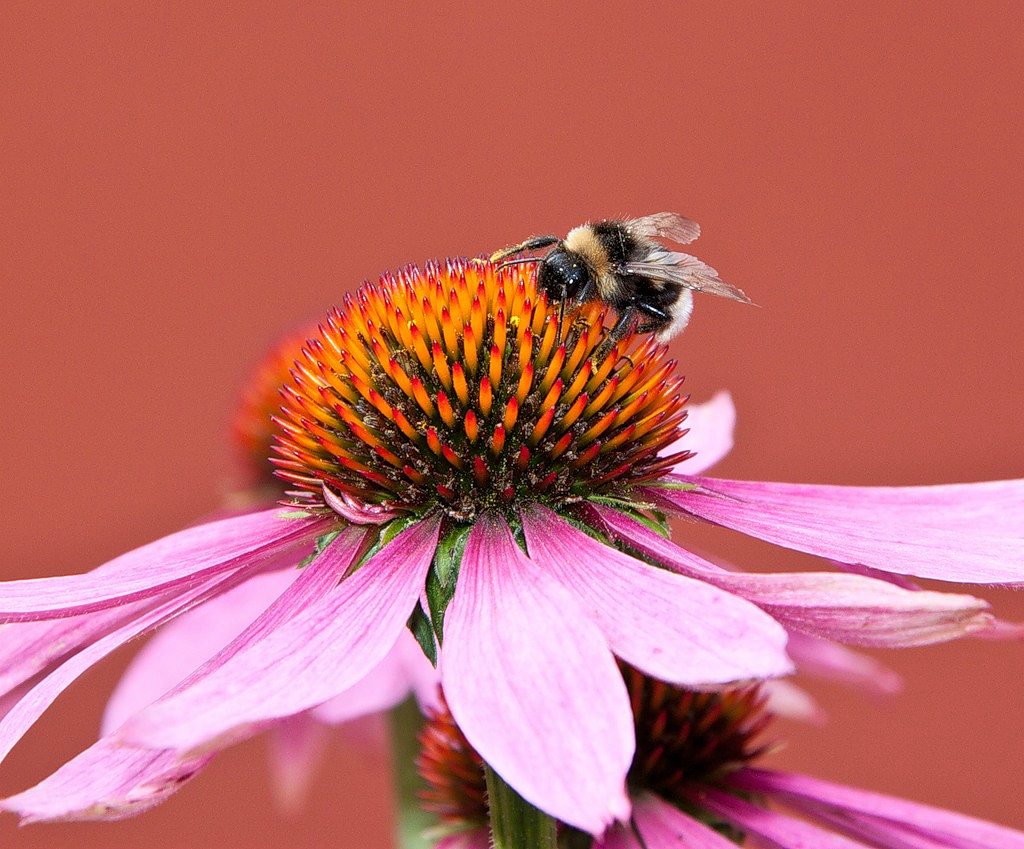 Природа края - Верхняя Мануйловка