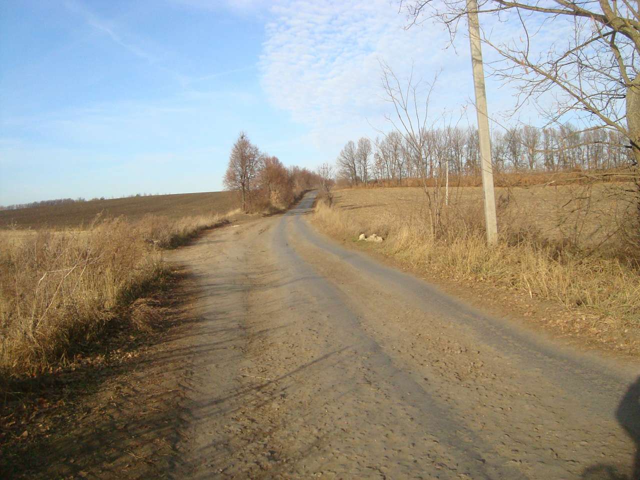 Заболотне - Заболотне