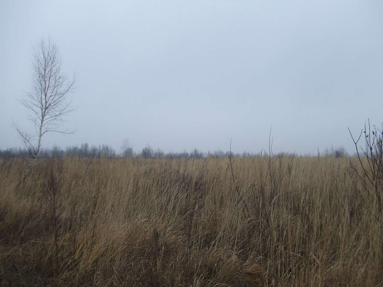 краєвид - Dolishnye