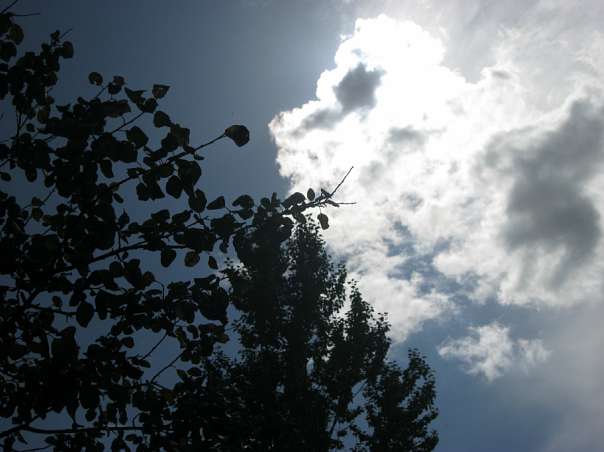 Краса рідного села - Велика Білина