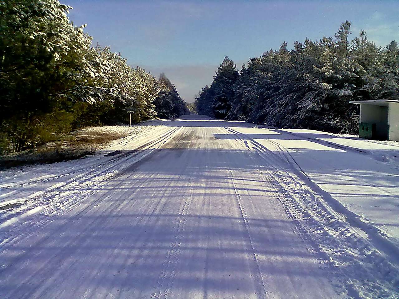 Зима 2011 - 2012. - Миляч