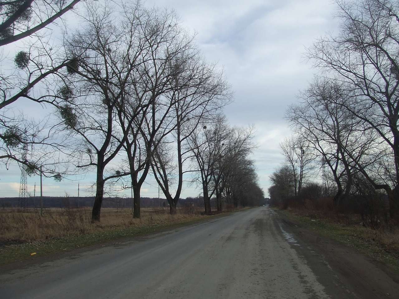 краєвид - Слобідка