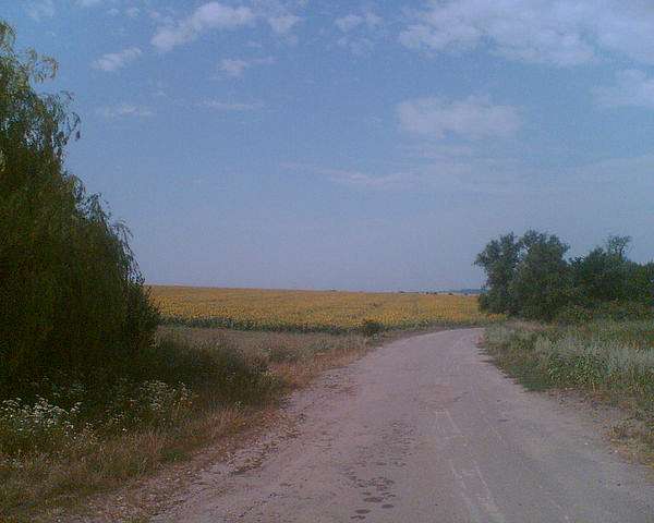 [NJ PF ??? - Збаржівка