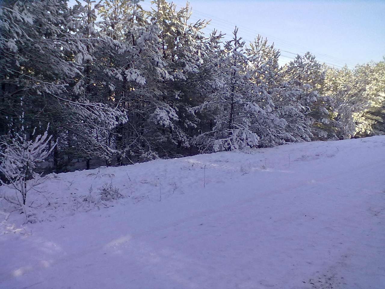 Зима 2011 - 2012. - Миляч