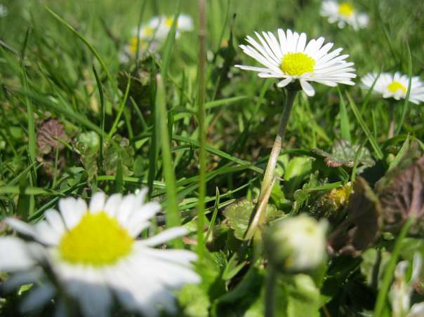 Краса рідного села - Велика Білина