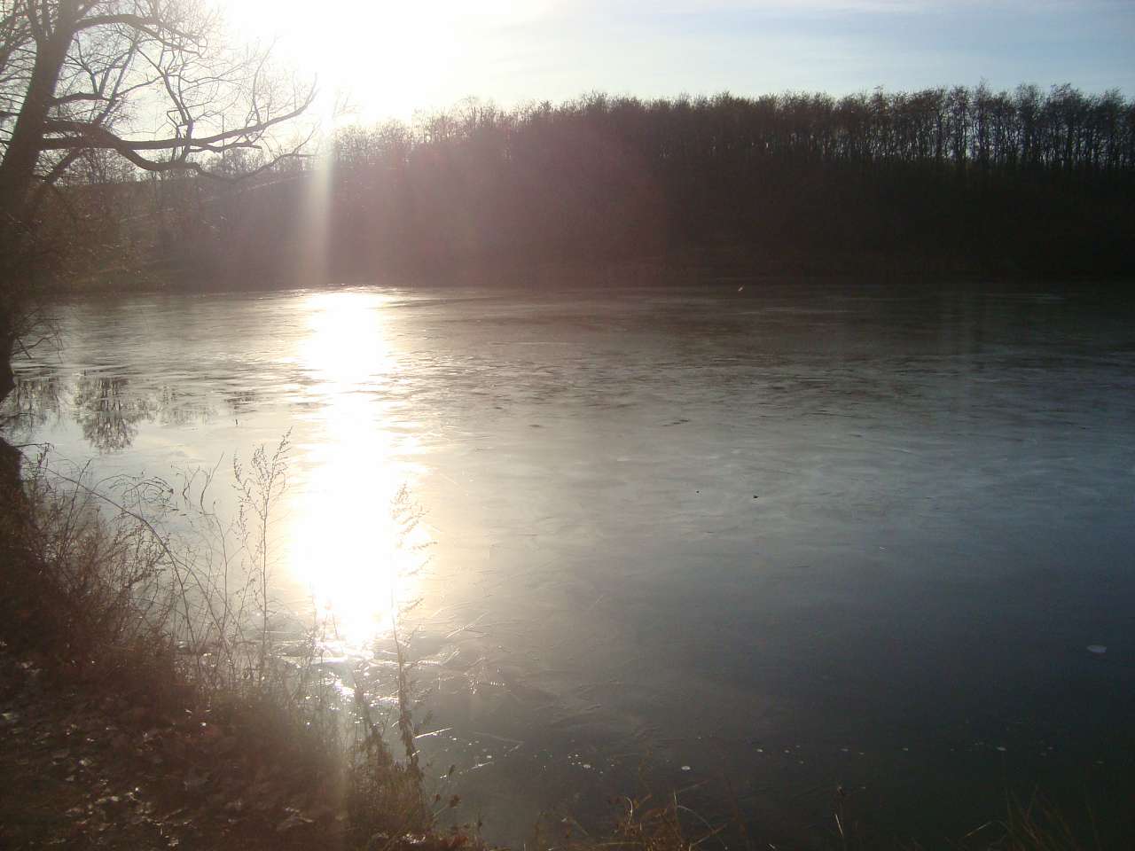 Заболотне - Заболотне