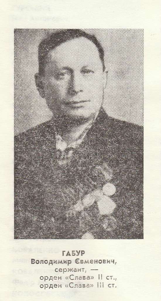 Нагороджені в боях - Лебедин