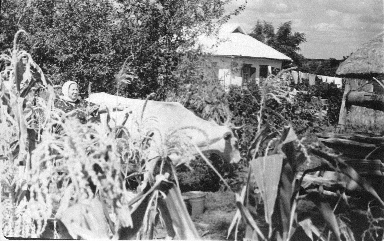 Исторические фото СЕЛА - Velyki Krynky