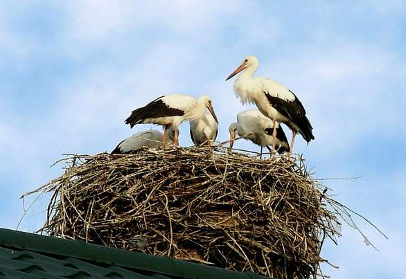 Природа края - Верхняя Мануйловка