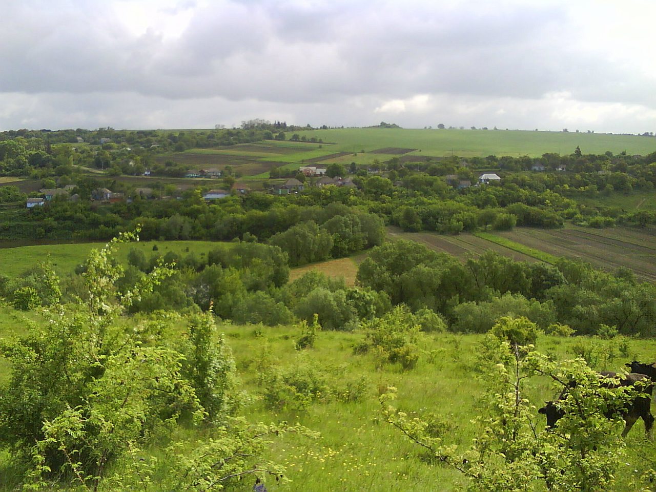 НІВЕРКА - Ніверка