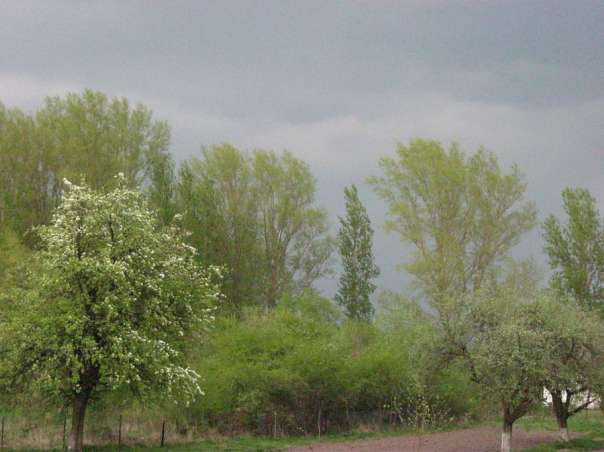 Краса рідного села - Велика Білина