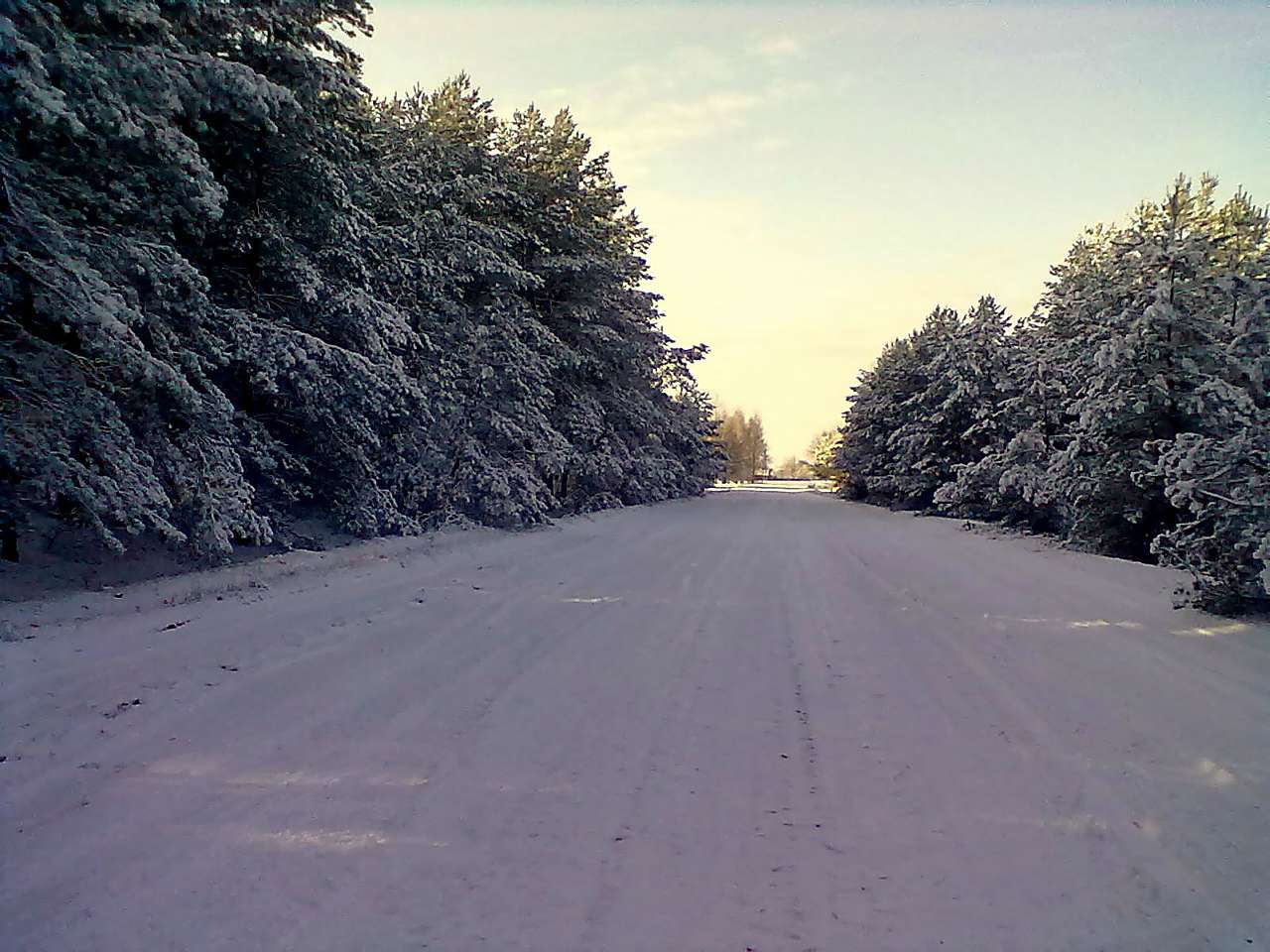 Зима 2011 - 2012. - Миляч