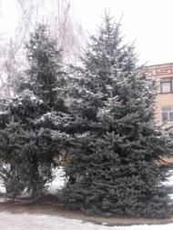 наш поселок