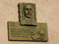 БРИНЬ приймає гостей