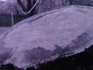 Лід в Гуничах