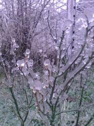 Лід в Гуничах