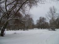 Сільські краєвиди