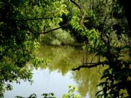 село Новоандріївка