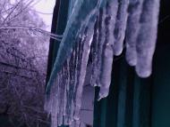 Лід в Гуничах